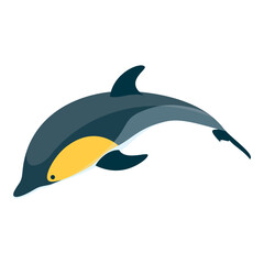 3D Isometric Flat Vector Set of Types Of Dolphins, Educational Classification. Item 5