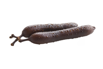 a long, dark, separated from white and transparent background