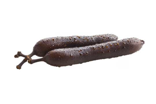 a long, dark, separated from white and transparent background