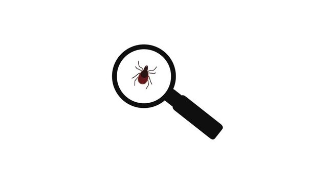 Magnifying glass icon swaying over the screen. Finding a tick. Looking for a tick.