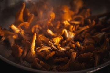 Golden, delicious chanterelles are fried in a pan. Close-up. Selected focus