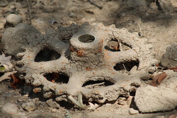Old Gear Covered with Mud Laying on a Riverbank