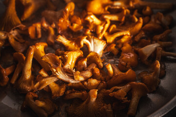 Golden, delicious chanterelles are fried in a pan. Close-up. Selected focus
