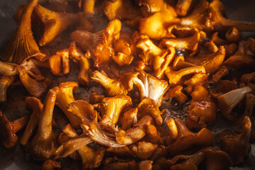 Golden, delicious chanterelles are fried in a pan. Close-up. Selected focus
