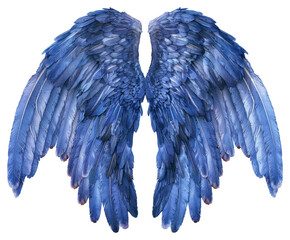 Fototapeta premium PNG Blue angel wings illustration