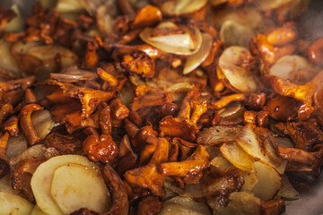 Fried potatoes with chanterelle mushrooms in butter. Close-up. Selected focus. Background.