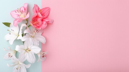 Fototapeta premium Elegant Lily Flowers on Pastel Pink and Blue Background - Minimalistic Floral Arrangement with Copy Space - Perfect for Invitations, Web Banners, Marketing Materials, and Spring or Summer Themes