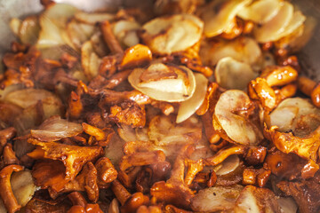 Fried potatoes with chanterelle mushrooms in butter. Close-up. Selected focus. Background.