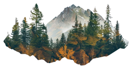 PNG Mountain forest landscape art