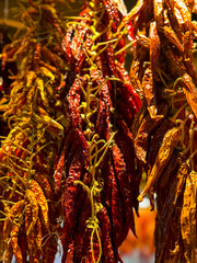 Dry red hot chilli peppers. Food market in Barcelona