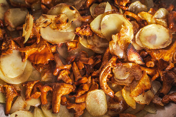 Chanterelle mushrooms with thinly sliced potatoes are fried in a pan. Vegetarian dish. Background. Selected focus.