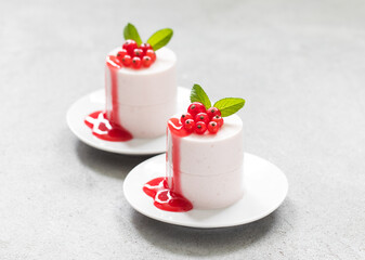 Modern Red Currant Cream pudding cylindrical shape.  With Red Currant sauce. Close-up	