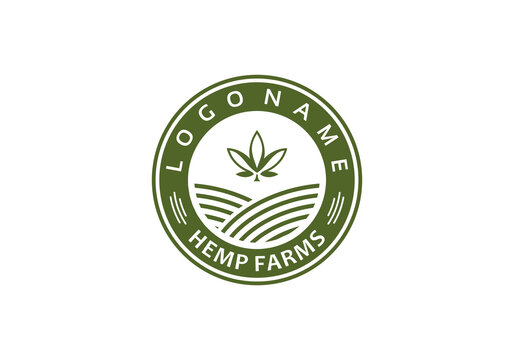 cannabis farm logo vector illustration design