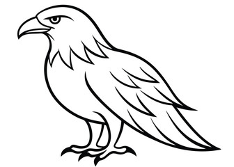  eagles   Silhouette vector   illustration 