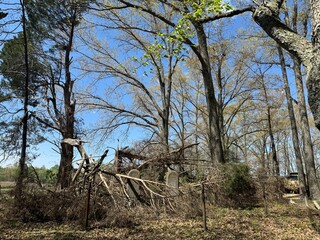 Abandoned structure surrounded by trees in a quiet area during early spring