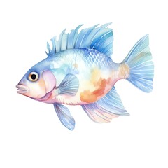 Marine fish watercolor illustration, marine animals clipart
