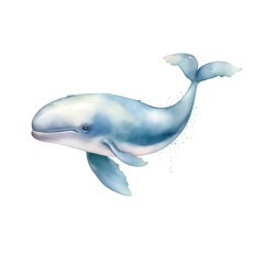 Obraz premium Marine whale watercolor illustration, marine animals clipart