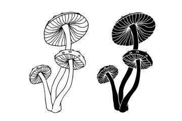 Line sketch, silhouette, stamp of toadstool mushrooms. Vector graphics.