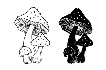 Line sketch, silhouette, stamp of toadstool mushrooms. Vector graphics.
