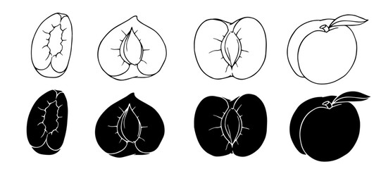 Set of linear sketches, peach silhouettes, summer fruit doodles. Vector graphics.