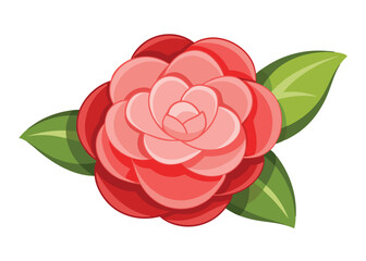 camellia flower vector illustration