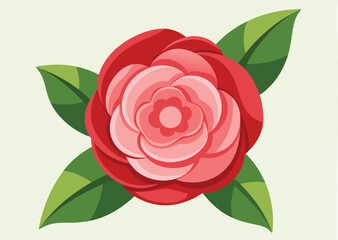 camellia flower vector illustration