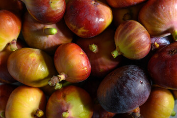 A close-up of a background completely covered with fresh figs.