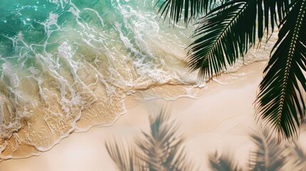 A silhouette of a palm tree on the beach at sunset, perfect for travel or coastal-themed projects