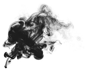Fototapeta premium PNG Abstract black ink swirl art