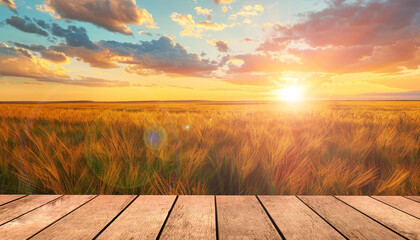 View of landscape of padi field suitable for wallpaper background.