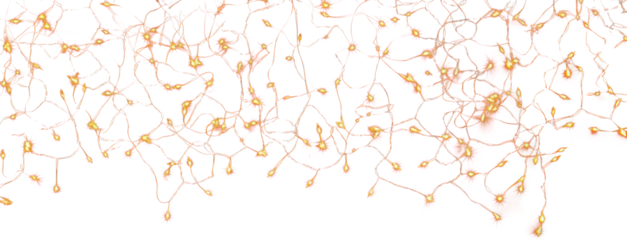 PNG Twinkling string lights on black