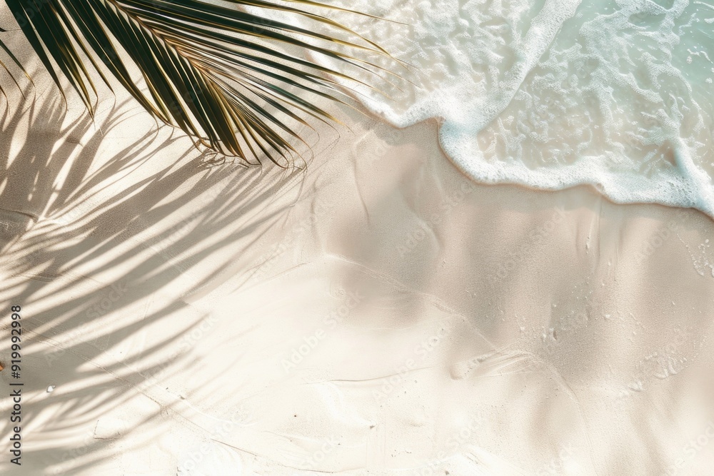 Poster A palm tree standing alone on a sunny beach with a shadow stretching out from its trunk