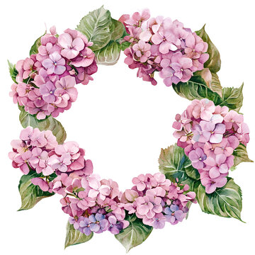 recommend clip art: Pink Hydrangea Flower wreath watercolor Illustration on a transparent background. Hydrangea flowers clipart.
                    