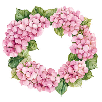 recommend clip art: Pink Hydrangea Flower wreath watercolor Illustration on a transparent background. Hydrangea flowers clipart.
                    