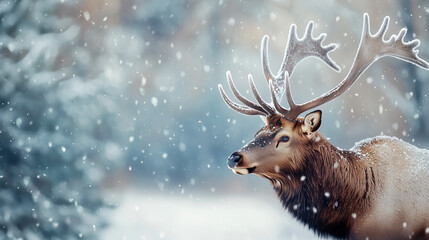 a majestic elk standing tall in the snow, its antlers covered in a dusting of snowflakes