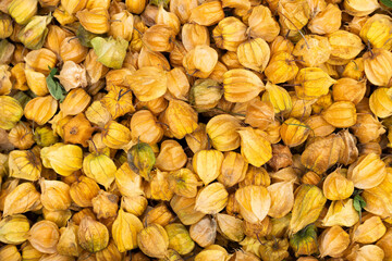 Cape gooseberries in the Colombian peasant market - Physalis peruviana