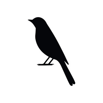 recommend clip art: Bird vector silhouette icon. Animal bird nature wildlife black sparrow hawk icon