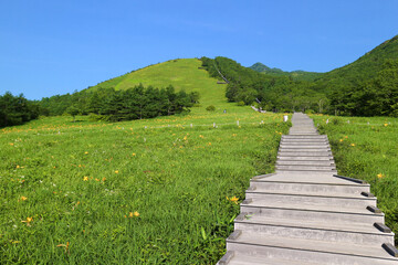 日光市　霧降高原　キスゲ平園地　天空回廊