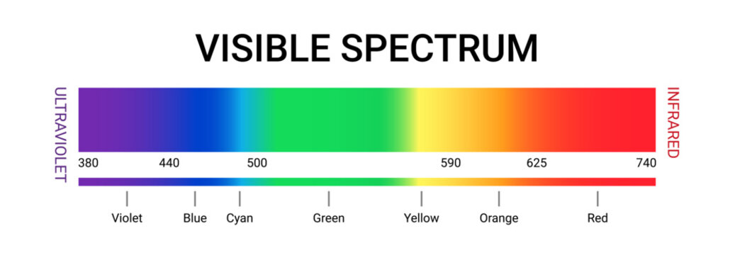 Visible spectrum color wavelength uv gamma vector illustration. Visible light spectrum science diagram.