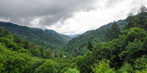 Beautiful view of the Newfound Gap in the Smokies