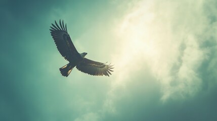 Naklejka premium Eagle soaring high in the sky, symbolizing freedom and success. Text space available.