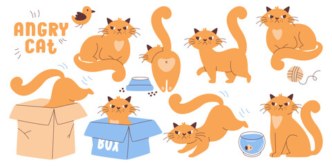 Funny angry cat disgruntled pet animal cartoon character different action and poses collection