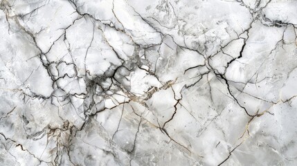 Marble texture with intricate, fine cracks and light veins, slightly rugged and more detailed surface.