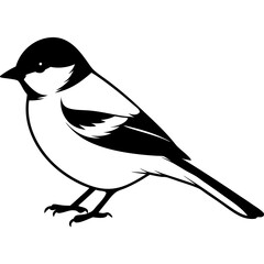 Capped chickadee isolated on white, capped chickadee vector illustration, bird vector art, capped chickadee silhouette, penguin with cream vector icon, animales line art, eps