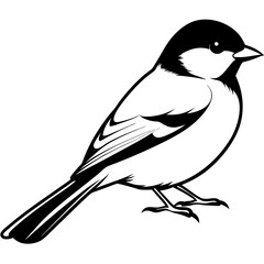 Capped chickadee isolated on white, capped chickadee vector illustration, bird vector art, capped chickadee silhouette, penguin with cream vector icon, animales line art, eps