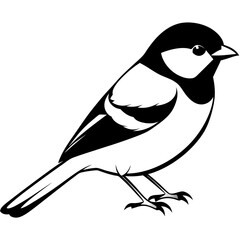 Capped chickadee isolated on white, capped chickadee vector illustration, bird vector art, capped chickadee silhouette, penguin with cream vector icon, animales line art, eps