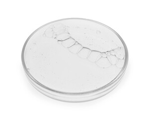 Petri dish with sample isolated on white
