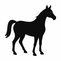 Horse isolated on white, horse vector illustration, animal vector art, horse silhouette, pet vector icon, horses cartoon line art, eps