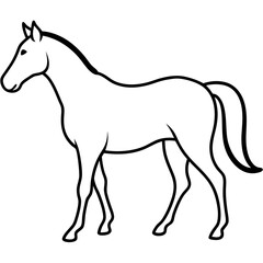 Horse isolated on white, horse vector illustration, animal vector art, horse silhouette, pet vector icon, horses cartoon line art, eps