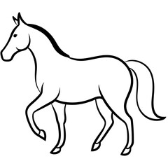 Horse isolated on white, horse vector illustration, animal vector art, horse silhouette, pet vector icon, horses cartoon line art, eps
